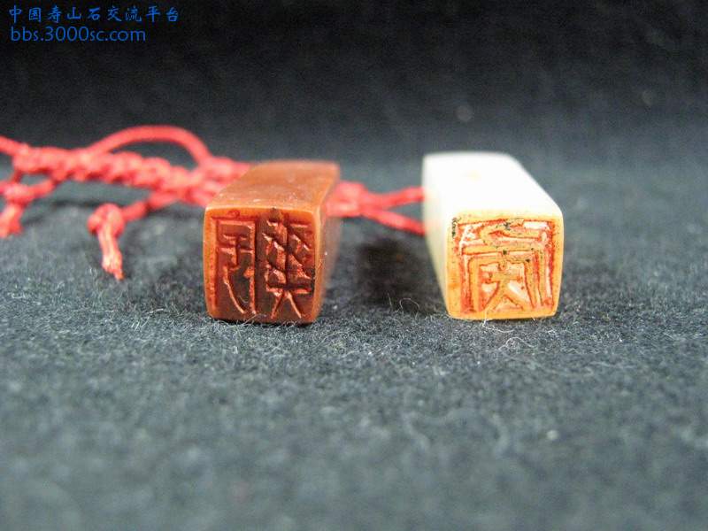 照片 466.jpg