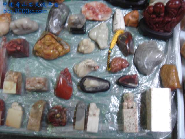 DSC05231.JPG