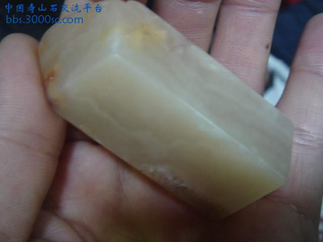 DSC05239.JPG