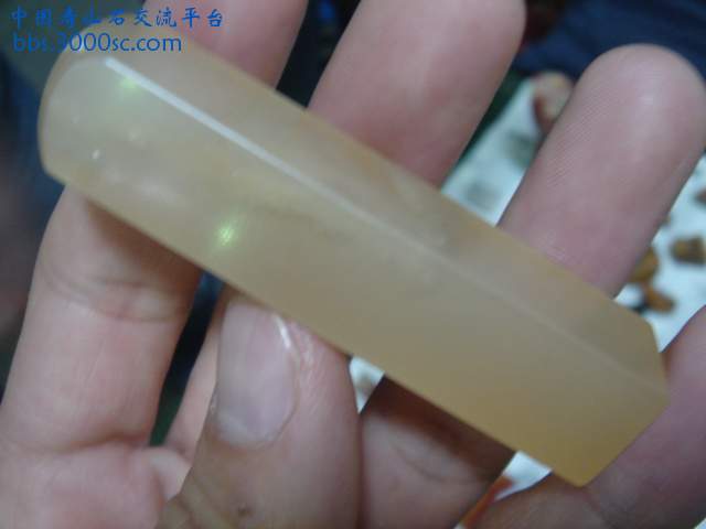 DSC05240.JPG