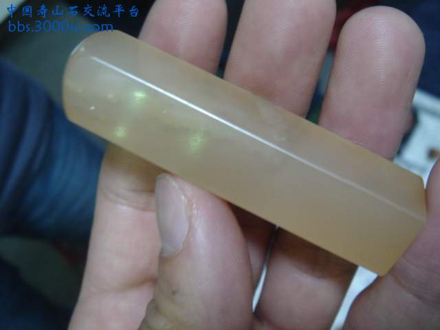 DSC05241.JPG