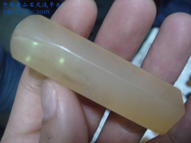 DSC05242.JPG