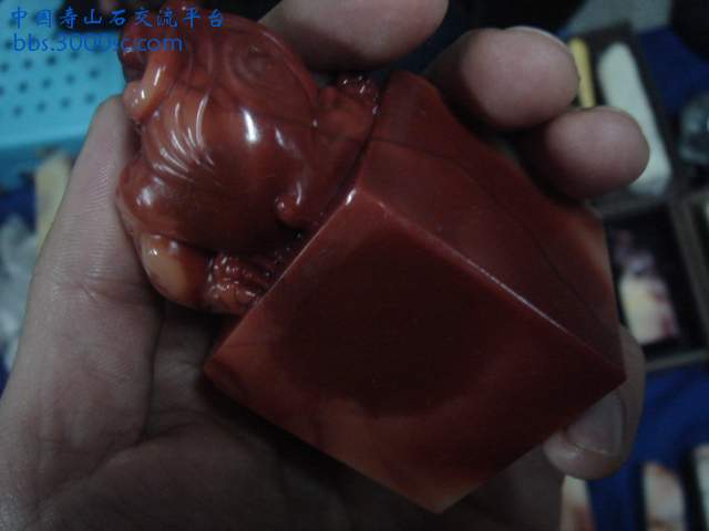 DSC05245.JPG
