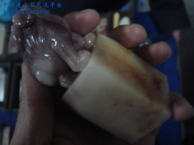 DSC05248.JPG