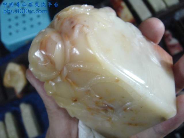 DSC05249.JPG