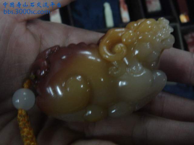 DSC05256.JPG