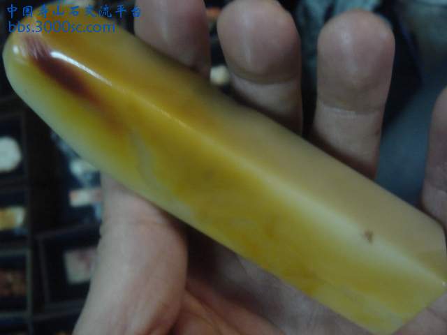 DSC05258.JPG