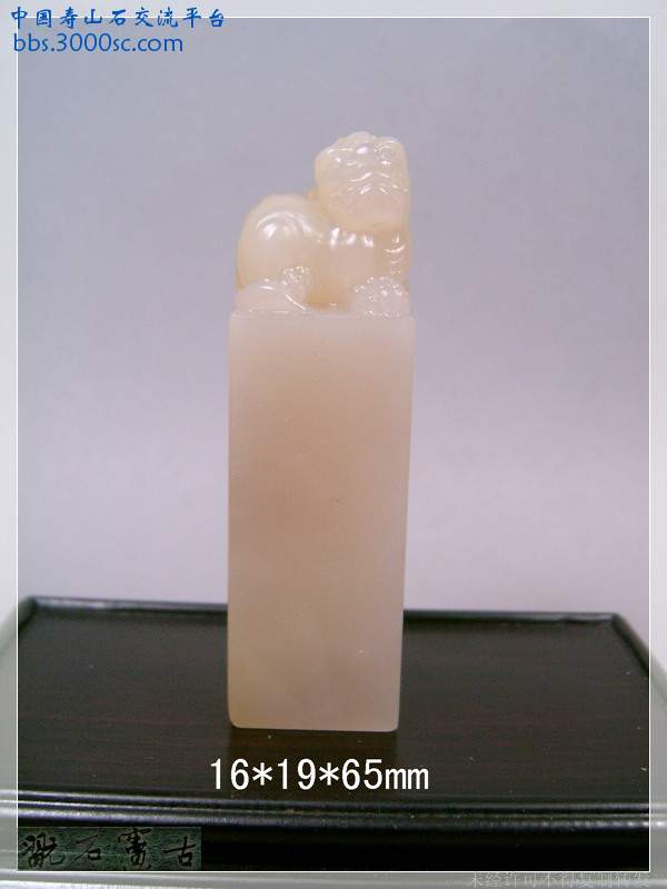 SUC39959.jpg