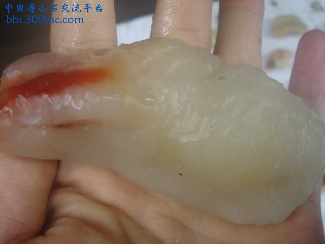 DSC05359.JPG