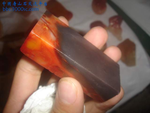DSC05363.JPG