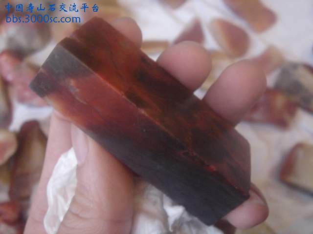 DSC05364.JPG