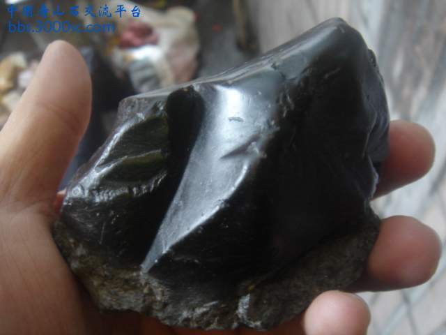 DSC05366.JPG