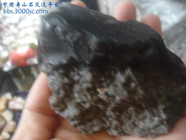 DSC05367.JPG