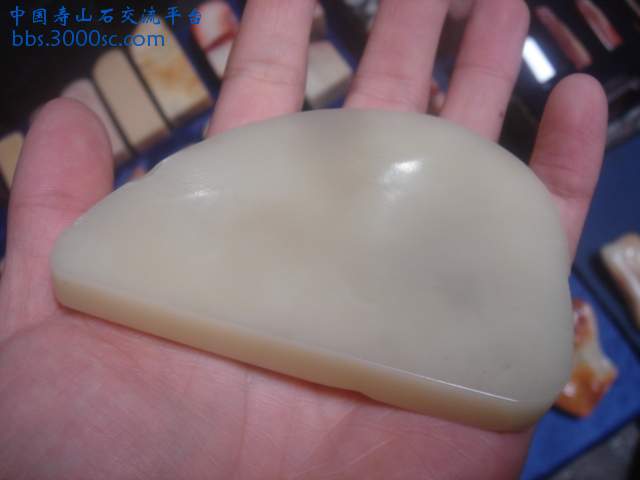 DSC05380.JPG