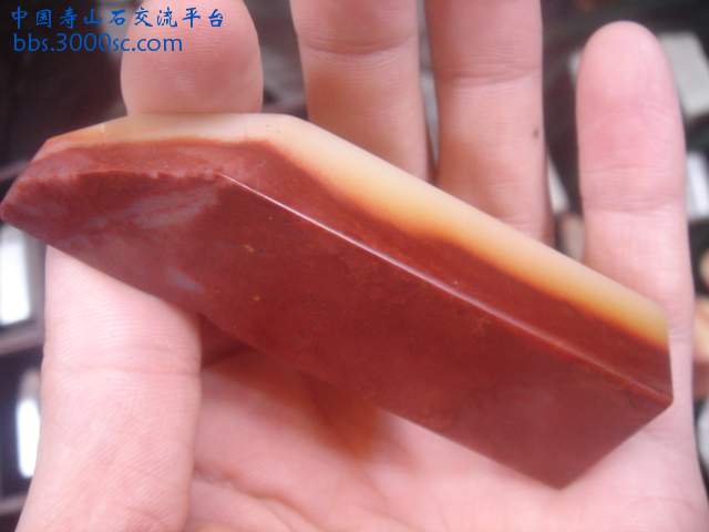 DSC05387.JPG