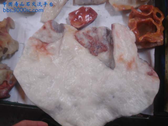 DSC05388.JPG