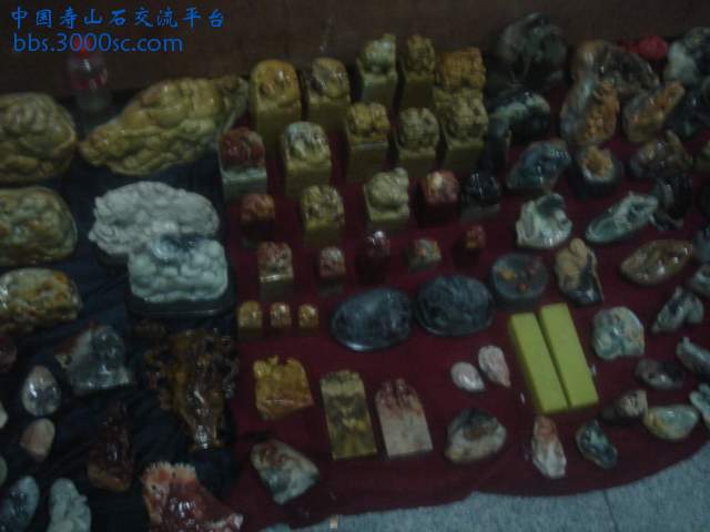DSC05404.JPG