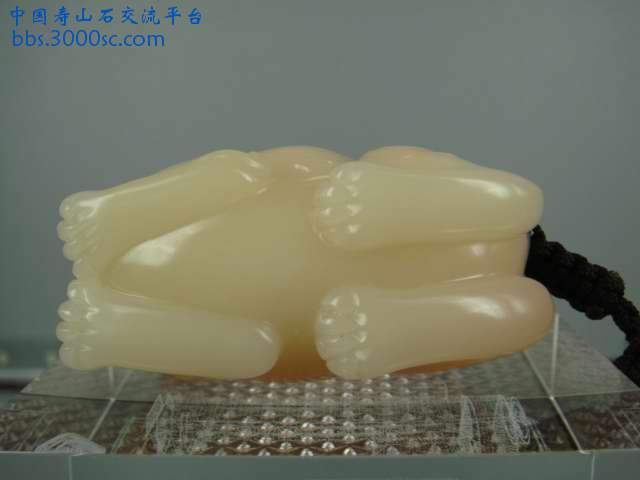DSC01988.JPG