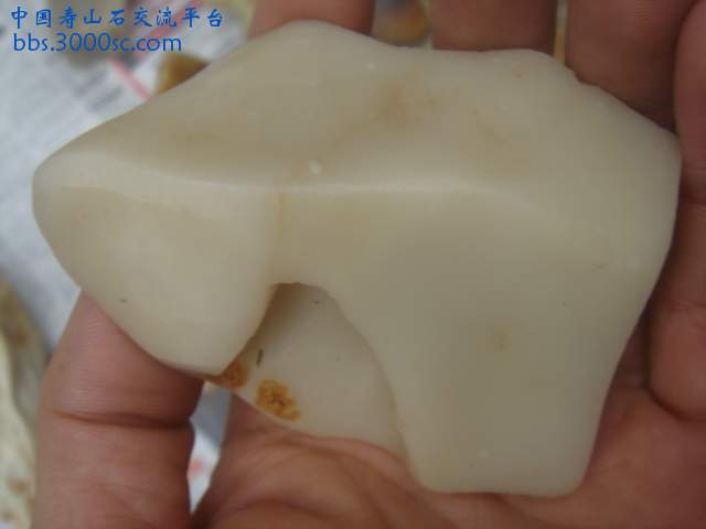 DSC05407.JPG