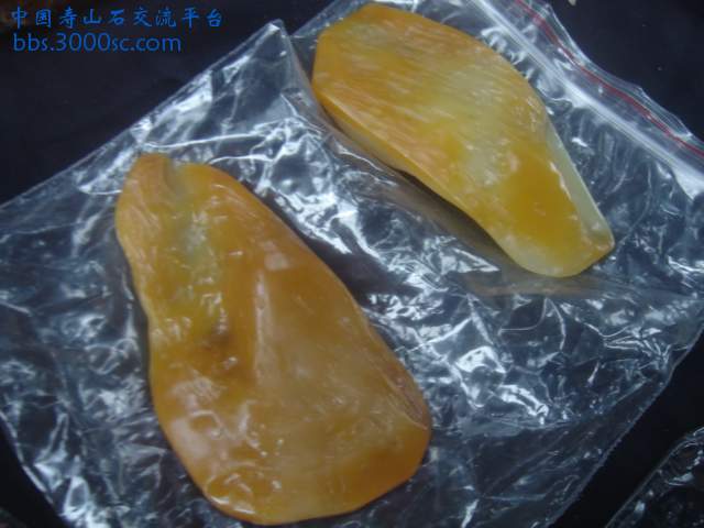 DSC05409.JPG