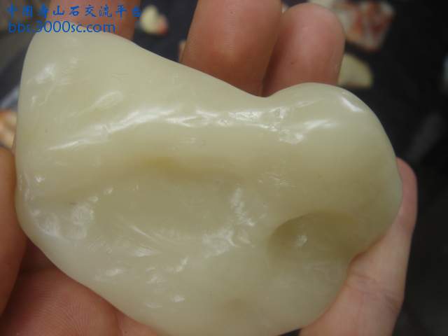 DSC05411.JPG