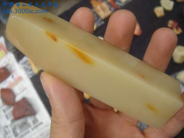 DSC05412.JPG