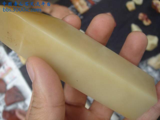DSC05413.JPG