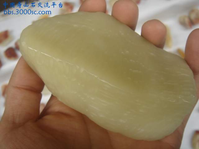 DSC05415.JPG