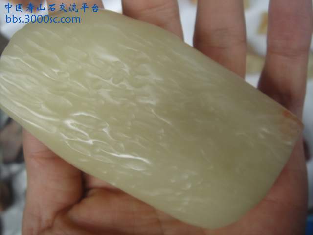 DSC05416.JPG