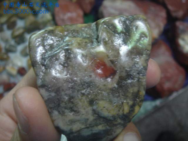 DSC05426.JPG