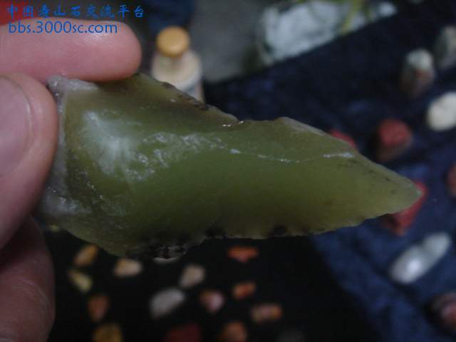 DSC05429.JPG