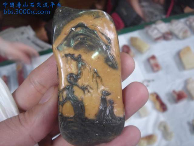 DSC05480.JPG