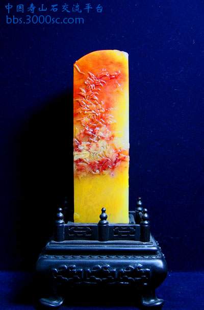 照片 300.jpg