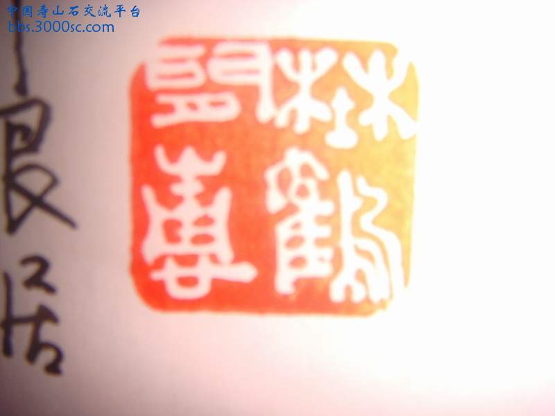 DSC03626.JPG
