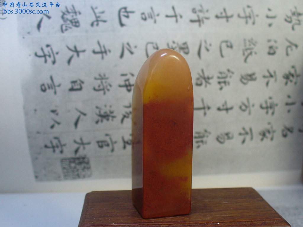 P1330942.JPG