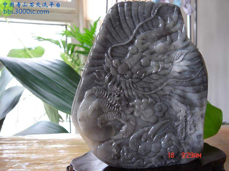 龙2.JPG