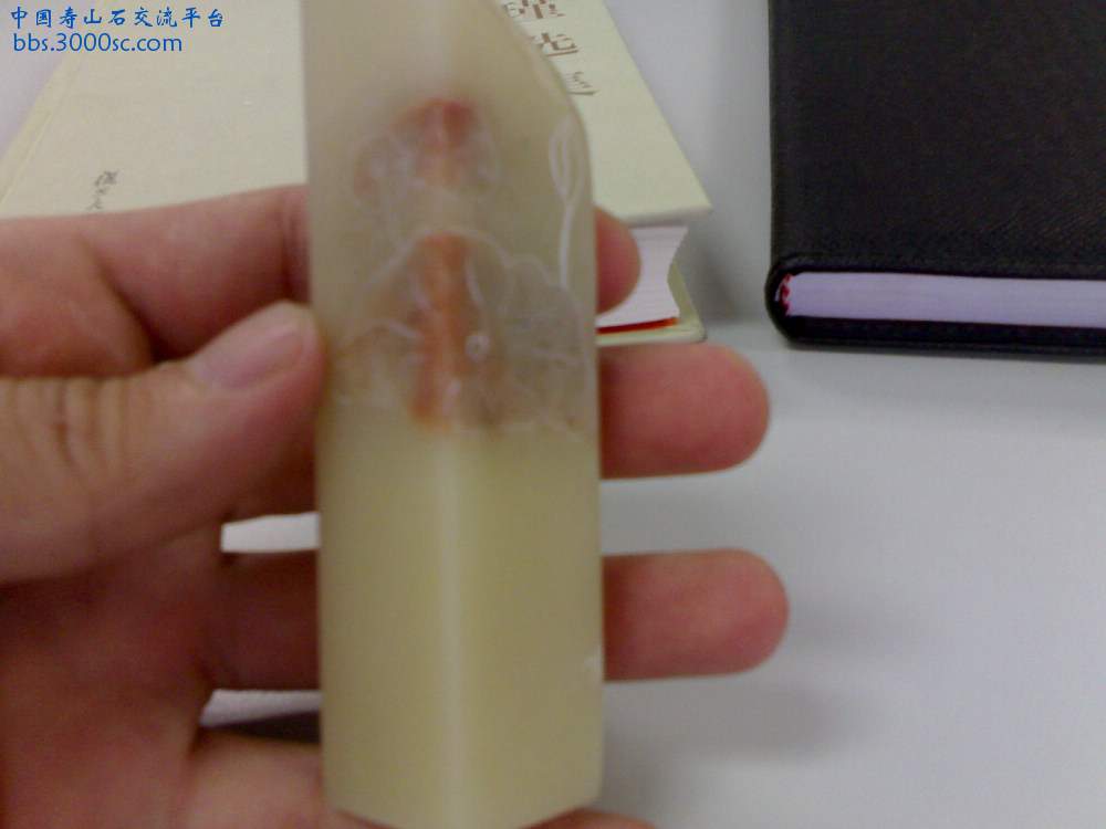 20100730060.jpg