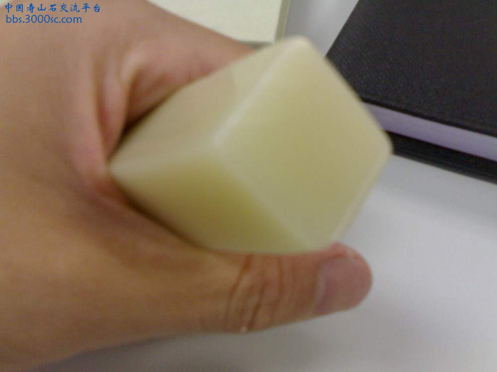 20100730063.jpg