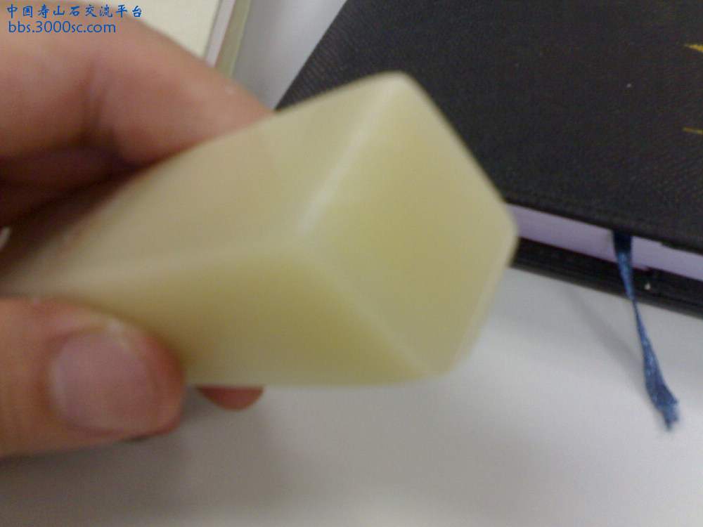 20100730064.jpg