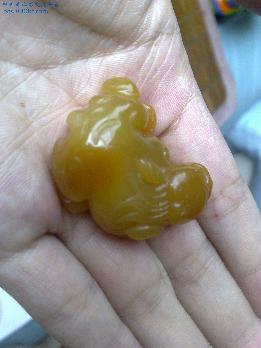 20100822904.jpg