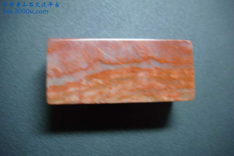 DSC03787.JPG