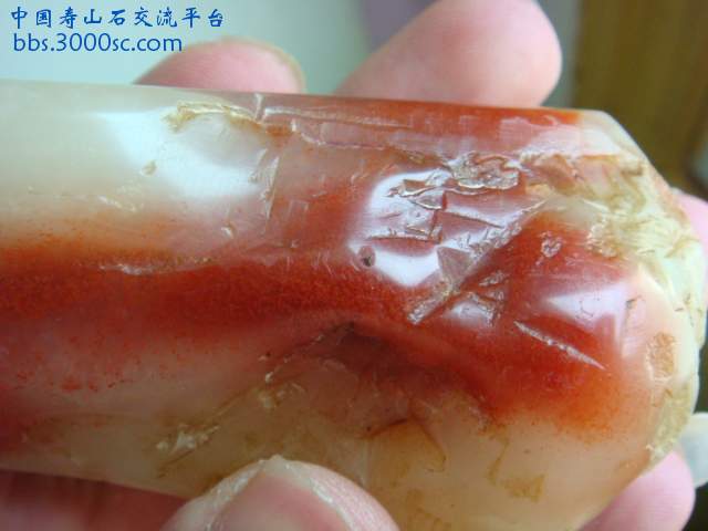 DSC04060.JPG
