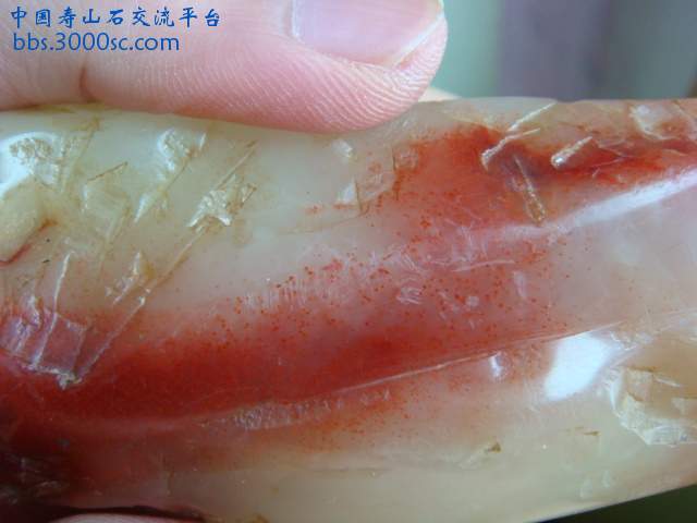 DSC04059.JPG