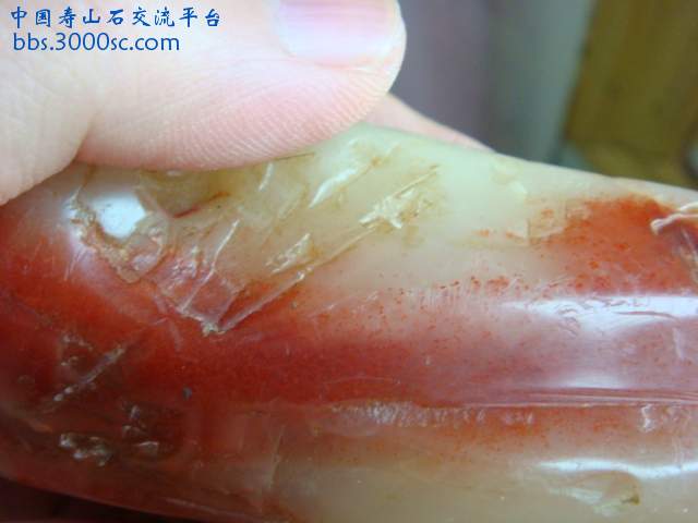 DSC04061.JPG