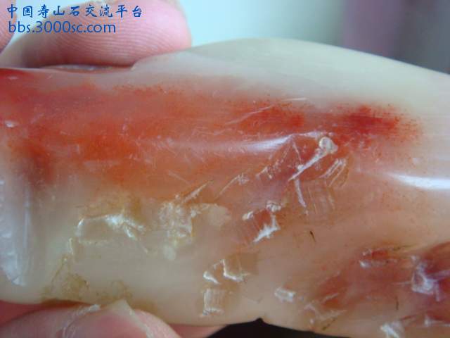 DSC04062.JPG