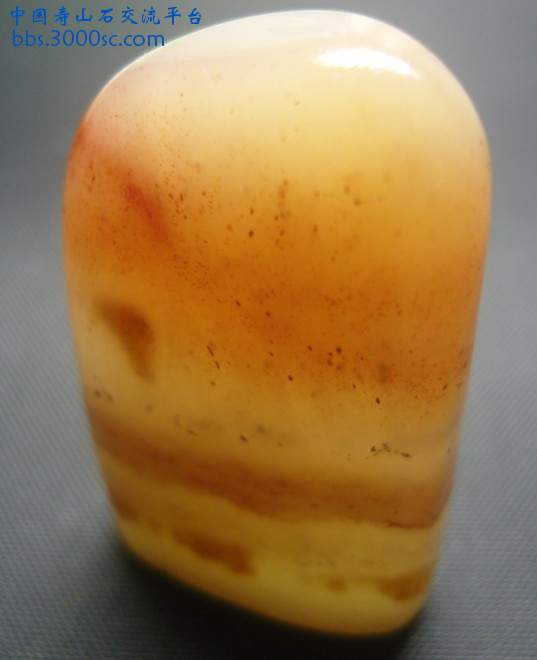 杜陵章6.jpg