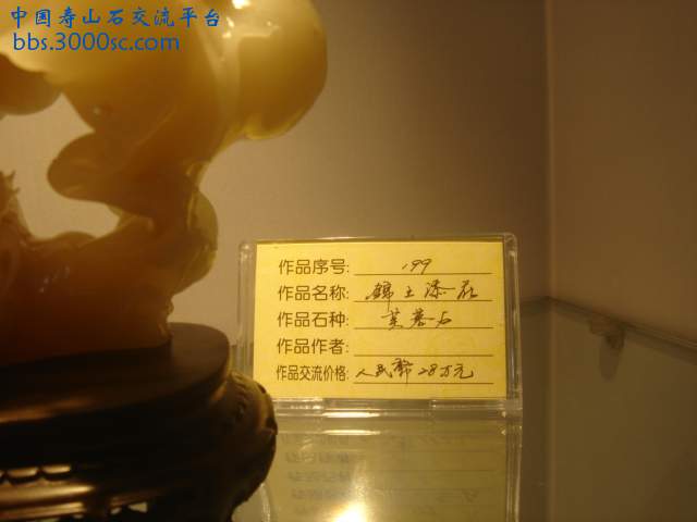 DSC09266.JPG