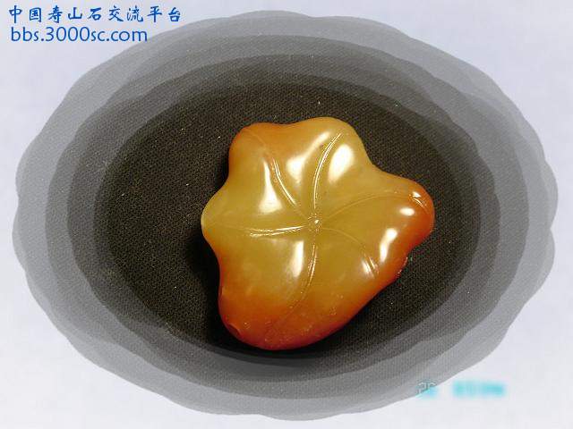 DSC08597_副本.JPG