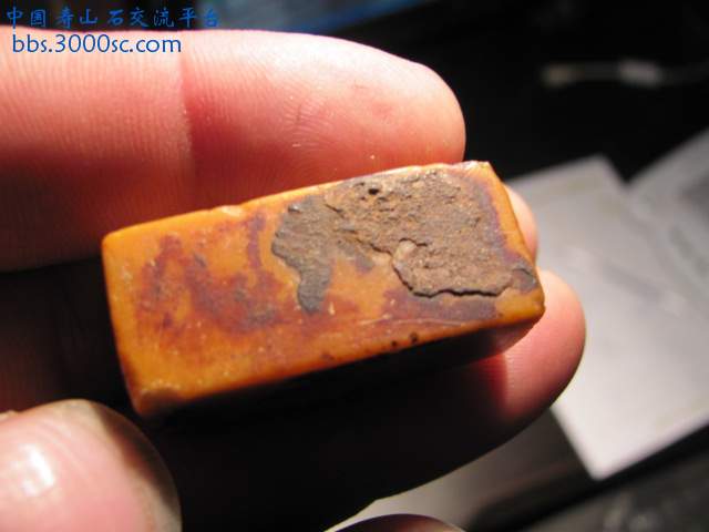 77_75408_4cda7fe7edba1af[1].jpg