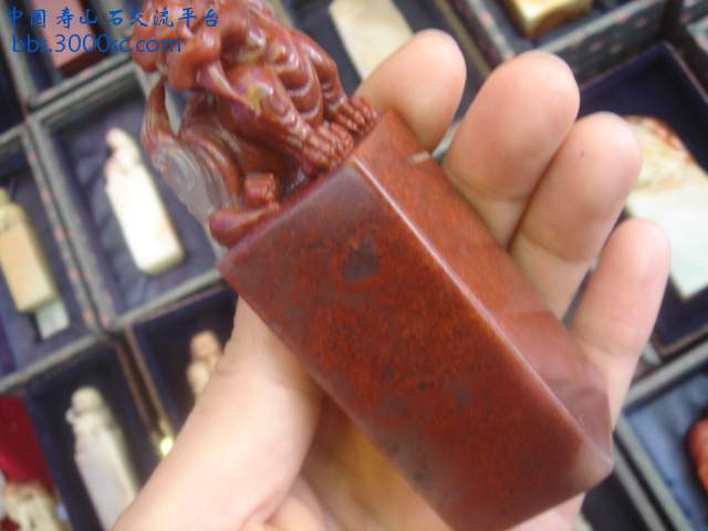DSC01109.JPG